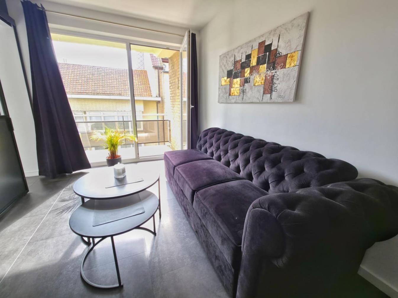 2 Bed With Sea View Oostende